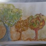 IMG 20260502